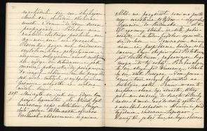 Fragment pamiętnika Ludwiki Ostrowskiej, dotyczący pobytu żołnierzy Legion&oacute;w Polskich w Maluszynie w dn. 25-28 IV 1915 r. Autorka opisuje stosunek miejscowej ludności do legionist&oacute;w.