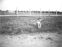 Rafał Minich 1937 - Zbiory Agnieszka Minich &ndash; Scholz 