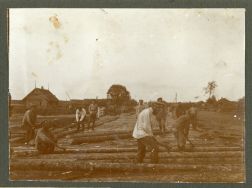 Brusy II połowa 1916 r. 