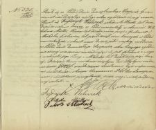 Akt urodzenia J&oacute;zefa W(i)eliszka z 12.08.1866 r. -  APŁ, ASC parafii ewangelicko-augsburskiej św. Tr&oacute;jcy w Łodzi, sygn.43, k. 134