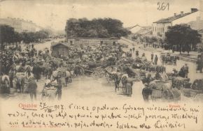Kartki pocztowe APŁ, Archiwum rodziny Bartoszewicz&oacute;w, sygn. 3735.