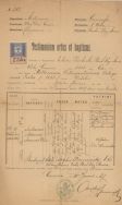 Metryka urodzenia Juliana Adama Jana Kantego Bartoszewicza z 1887 r. APŁ, Archiwum rodziny Bartoszewicz&oacute;w, sygn. 3840.