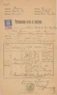 Metryka urodzenia Marii Aldony Bartoszewicz z 1887 r. APŁ, Archiwum rodziny Bartoszewicz&oacute;w, sygn. 1448.