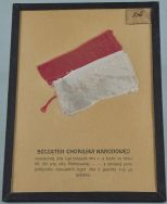 Fragment polskiej flagi narodowej wywieszonej przez mieszkańca Łodzi 1 XI 1914 r. na powitanie powracających do miasta wojsk rosyjskich. APŁ, Zbi&oacute;r ikonograficzny APŁ, sygn. W-III 5/2.