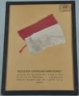 Fragment polskiej flagi narodowej wywieszonej przez mieszkańca Łodzi 1 XI 1914 r. na powitanie powracających do miasta wojsk rosyjskich. APŁ, Zbi&oacute;r ikonograficzny APŁ, sygn. W-III 5/2.