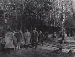 Ogr&oacute;d Zoologiczny, po 1945 r., fot. Jerzy Skorupa. APŁ, Zbi&oacute;r ikonograficzny APŁ, sygn. Ł-III 22/3.
