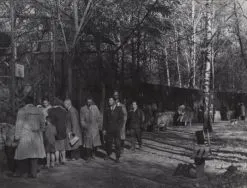 Ogr&oacute;d Zoologiczny, po 1945 r., fot. Jerzy Skorupa. APŁ, Zbi&oacute;r ikonograficzny APŁ, sygn. Ł-III 22/3.