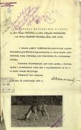 Partnerka dla Boruty, 1937 r. APŁ, AMŁ, sygn. 23289, s. 19.