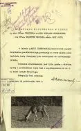 Partnerka dla Boruty, 1937 r. APŁ, AMŁ, sygn. 23289, s. 19.
