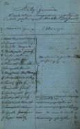 Lista uczestnik&oacute;w powstania styczniowego z Pabianic sporządzona przez magistrat miejski (fragment). APŁ, Akta miasta Pabianic, sygn. 389.