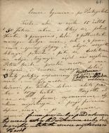 Przepis na zimną leguminę po portugalsku. APŁ, Archiwum Potockich i Ostrowskich z Maluszyna, sygn. IV/9 p.101, s. 61
