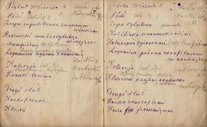 Dzienny jadłospis rodziny ziemiańskiej, pochodzący z początku XX wieku. APŁ, Archiwum Potockich i Ostrowskich z Maluszyna, sygn. I/19 p.3, k. 269 v., 270 a.