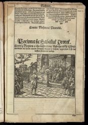 Biblia Jana Leopolity  Bibja to jest. Xięgi Stharego y Nowego Zakony, na polski język z pilnośćią według Ł&aacute;ćińskiey Bibliey od Kośćioł&aacute; Krześći&aacute;ńskiego powssechnego przyjęthey, nowo wyłożona.