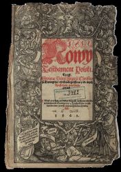 Biblia Jana Leopolity  LEOPOLITA Jan ( Kasprowicz, Nicz, Nicius ) Jan Młodszy, (ok. 1523-1572, profesor teologii Akademii Krakowskiej, kaznodzieja, wydawca i korektor pierwszego katolickiego przekładu Biblii (tzw. Biblii Leopolity lub Szarffenbergowskiej)