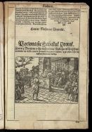 Biblia Jana Leopolity  Bibja to jest. Xięgi Stharego y Nowego Zakony, na polski język z pilnośćią według Ł&aacute;ćińskiey Bibliey od Kośćioł&aacute; Krześći&aacute;ńskiego powssechnego przyjęthey, nowo wyłożona.