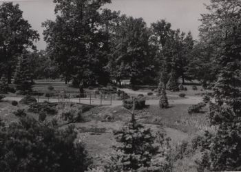 Park Źr&oacute;dliska, brak daty [Zbi&oacute;r ikonograficzny Archiwum Państwowego w Łodzi, sygn.Ł-I/22-63]