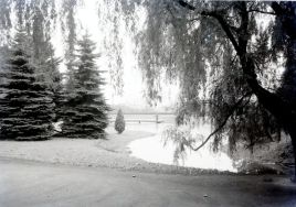 Park im. Poniatowskiego. Fragment parku, 1930 r. [Archiwum Włodzimierza Pfeiffera (księgarza i fotografa ł&oacute;dzkiego), sygn. 313]
