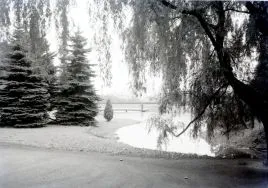 Park im. Poniatowskiego. Fragment parku, 1930 r. [Archiwum Włodzimierza Pfeiffera (księgarza i fotografa ł&oacute;dzkiego), sygn. 313]