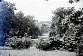 Park im. Staszica. Fragment parku, 1939 r. [Archiwum Włodzimierza Pfeiffera (księgarza i fotografa ł&oacute;dzkiego), sygn. 893]