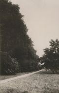 Park im. Struga. Fragment parku, przed 1939 r. [Zbi&oacute;r ikonograficzny Archiwum Państwowego w Łodzi, sygn. Ł-I 22/25]