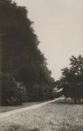 Park im. Struga. Fragment parku, przed 1939 r. [Zbi&oacute;r ikonograficzny Archiwum Państwowego w Łodzi, sygn. Ł-I 22/25]