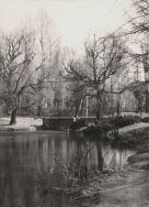 Park im. Piłsudskiego. Fragment parku, 1960 r. [Zbi&oacute;r ikonograficzny Archiwum Państwowego w Łodzi, sygn. Ł-I 22/38]