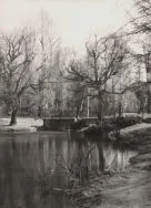 Park im. Piłsudskiego. Fragment parku, 1960 r. [Zbi&oacute;r ikonograficzny Archiwum Państwowego w Łodzi, sygn. Ł-I 22/38]