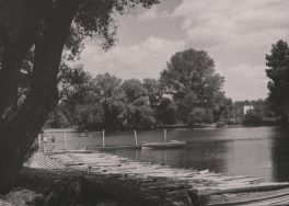 Park 1-go Maja. Fragment parku, 1963 r. [Zbi&oacute;r ikonograficzny Archiwum Państwowego w Łodzi, sygn. Ł-I 22/46]