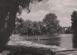 Park 1-go Maja. Fragment parku, 1963 r. [Zbi&oacute;r ikonograficzny Archiwum Państwowego w Łodzi, sygn. Ł-I 22/46]