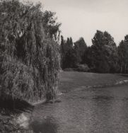 Park im. Piłsudskiego. Fragment parku, 1960 r. [Zbi&oacute;r ikonograficzny Archiwum Państwowego w Łodzi, sygn. Ł-I 22/49]