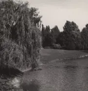 Park im. Piłsudskiego. Fragment parku, 1960 r. [Zbi&oacute;r ikonograficzny Archiwum Państwowego w Łodzi, sygn. Ł-I 22/49]