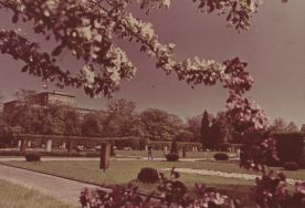 Park im. Matejki. Fragment parku, 1968 r. [Zbi&oacute;r ikonograficzny Archiwum Państwowego w Łodzi, sygn. Ł-I 22/60]