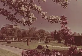 Park im. Matejki. Fragment parku, 1968 r. [Zbi&oacute;r ikonograficzny Archiwum Państwowego w Łodzi, sygn. Ł-I 22/60]