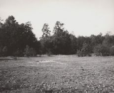 Park 3-go Maja. Fragment parku [Zbi&oacute;r ikonograficzny Archiwum Państwowego w Łodzi, sygn. Ł-I 22/67]