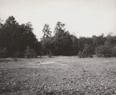 Park 3-go Maja. Fragment parku [Zbi&oacute;r ikonograficzny Archiwum Państwowego w Łodzi, sygn. Ł-I 22/67]