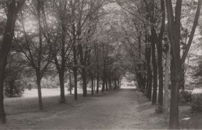 Park im. Struga. Fragment parku, przed 1939 r. [Zbi&oacute;r ikonograficzny Archiwum Państwowego w Łodzi, sygn. Ł-I 22/9]