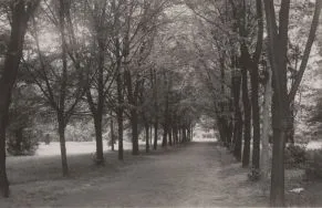 Park im. Struga. Fragment parku, przed 1939 r. [Zbi&oacute;r ikonograficzny Archiwum Państwowego w Łodzi, sygn. Ł-I 22/9]