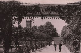 Park Helen&oacute;w. Aleja r&oacute;ż, ok. 1900 r. [Zbi&oacute;r album&oacute;w ikonograficznych, sygn. A-23/14]