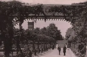 Park Helen&oacute;w. Aleja r&oacute;ż, ok. 1900 r. [Zbi&oacute;r album&oacute;w ikonograficznych, sygn. A-23/14]