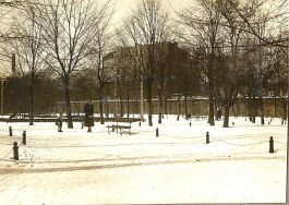 Park Sienkiewicza - 1926-1927