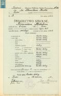 Świadectwo szkolne Michaliny Braun (Wisłockiej), 1934 r. Prywatne Gimnazjum i Liceum Żeńskie Janiny Czapczyńskiej w Łodzi
