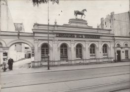Lecznica 