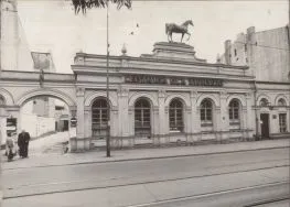 Lecznica 