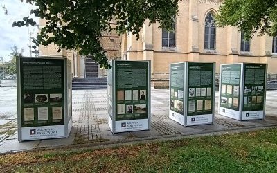 Wystawa APŁ pt. &bdquo;Do broni! Wr&oacute;g u granic Ojczyzny&rdquo;, fot. Tomasz Walkiewicz. (0)