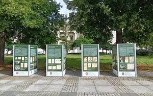 Wystawa APŁ pt. &bdquo;Do broni! Wr&oacute;g u granic Ojczyzny&rdquo;, fot. Tomasz Walkiewicz. (0)