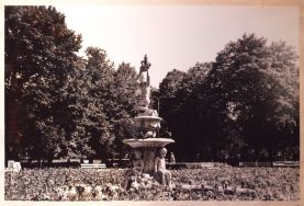 W dniu 1 grudnia 1916 r. ł&oacute;dzki magistrat uchwalił zmianę nazwy ul. Mikołajewskiej i Mikołajewskiego Ogrodu Miejskiego. Nowym patronem ulicy i parku został Henryk Sienkiewicz. Na zdjęciu Park im. H. Sienkiewicza w Łodzi, 1981 r.